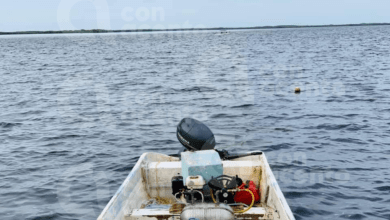 Photo of Yucatán ya tiene con cuatro santuarios pesqueros