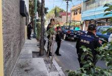 Photo of Detenido por plantar un arbolito de limón