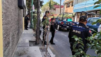 Photo of Detenido por plantar un arbolito de limón