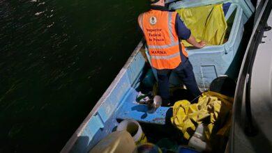 Photo of En Yucatán, Marina detiene a cuatro pescadores con producto en veda