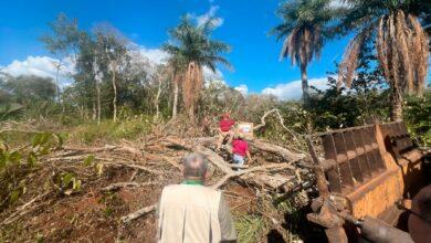 Photo of Menonitas deforestan Reserva Biocultural del Puuc