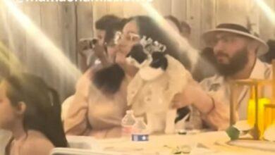 Photo of Celebran los 15 años de una gatita con mariachis e invitados