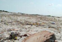 Photo of Semarnat presenta denuncia ante FGR por desmonte de manglares en Sisal, Yucatán
