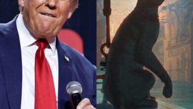 Photo of Trump impondrá aranceles en películas extranjeras
