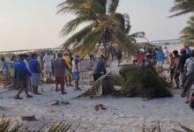 Photo of Huacho Díaz pide a la FGE Yucatán investigar hecho de violec1@ por tala en Sisal