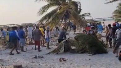 Photo of Huacho Díaz pide a la FGE Yucatán investigar hecho de violec1@ por tala en Sisal