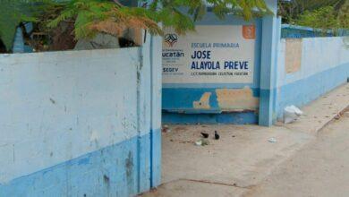 Photo of Interviene la SSY por caso de intoxicación en una primaria en Celestún