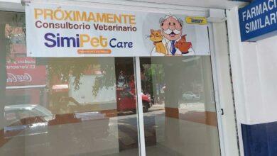 Photo of ¿Dr. Simi tendría consultas veterinarias ?