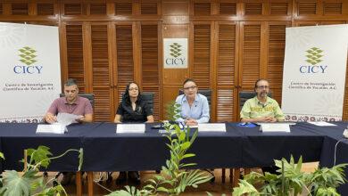 Photo of CICY invita a su primera edición 2025 del Mercado Agroecológico