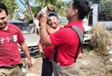 Photo of Rescatan a cachorrito que cayó a un pozo de 7 metros en Cancún