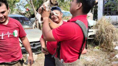 Photo of Rescatan a cachorrito que cayó a un pozo de 7 metros en Cancún