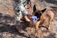Photo of Realizan operativo para localizar a campesino de Campeche