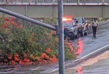 Photo of Lluvias y viento causan caos en Mérida