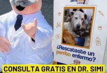 Photo of Veterinarias de Similares dará atención gratuita a perritos rescatados