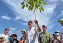 Photo of Sembramos vida en comunidad, con la Cruzada Forestal
