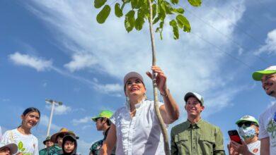 Photo of Sembramos vida en comunidad, con la Cruzada Forestal
