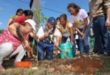 Photo of Todas y todos listos para contribuir a una Mérida más verde