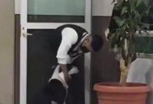 Photo of Captan a trabajador del IMSS secando a perrito que se mojó por la lluvia