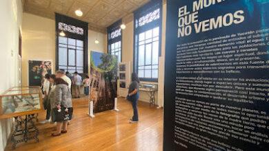 Photo of Inauguran la exposición fotográfica «El mundo que no vemos” en la CDMX