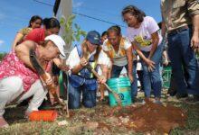Photo of Ceci Patrón invita a la Cruzada Forestal; plantarán 8 mil 500 árboles