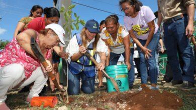 Photo of Ceci Patrón invita a la Cruzada Forestal; plantarán 8 mil 500 árboles