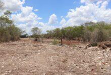 Photo of Presenta denuncia por la lotificación ilegal de la Reserva Ecológica Cuxtal