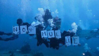 Photo of El rechazo al cuarto muelle en Cozumel, por el grave daño ambiental