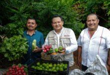 Photo of Renacimiento Maya cumple deuda con el campo yucateco