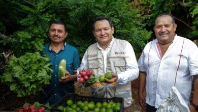 Photo of Renacimiento Maya cumple deuda con el campo yucateco