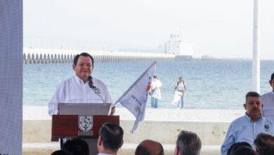 Photo of Yucatán aplicará todo el peso de la ley  por ecocidios o depredación de especies