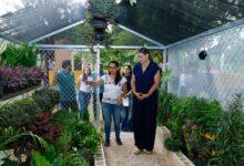 Photo of Reserva Ecológica Cuxtal promoverá la cultura ambiental en Anicabil
