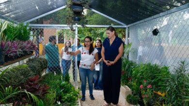 Photo of Reserva Ecológica Cuxtal promoverá la cultura ambiental en Anicabil