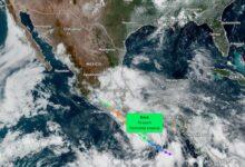Photo of Sheinbaum alerta por posible evolución de «Erick» a huracán categoría II