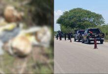 Photo of Hallan restos óseos en carretera yucateca