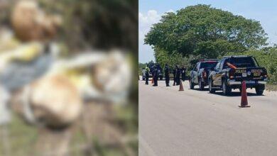 Photo of Hallan restos óseos en carretera yucateca