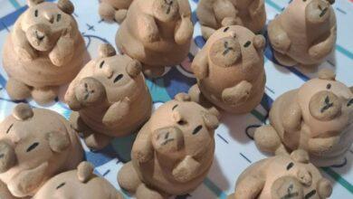Photo of Capibaras de postre en Oxkutzcab y Acanceh