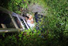 Photo of Rescatan a “Canela” tras caer en una fosa en Tizimín