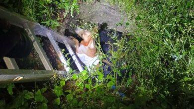 Photo of Rescatan a “Canela” tras caer en una fosa en Tizimín