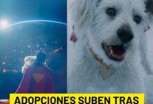 Photo of ¡Los superhéroes no siempre usan capa! 