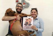 Photo of ¡El licenciado Canelo Palma se jubila con honores en Mérida!