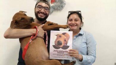 Photo of ¡El licenciado Canelo Palma se jubila con honores en Mérida!