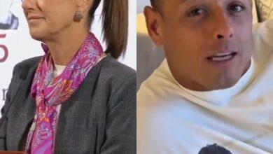 Photo of Claudia Sheinbaum opinó sobre el caso Chicharito