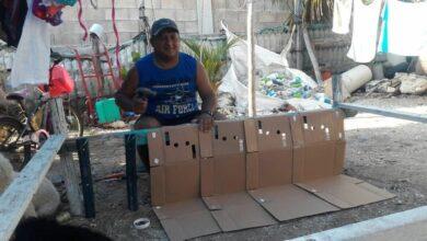 Photo of Invento yucateco: construyó una piscina casera para su familia durante la pandemia