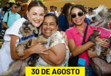 Photo of Ceci Patrón rendirá su primer informe de Gobierno el 30 de agosto