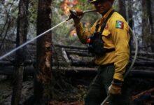 Photo of Yucateco se une al combate de incendios forestales en Canadá