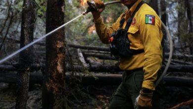 Photo of Yucateco se une al combate de incendios forestales en Canadá