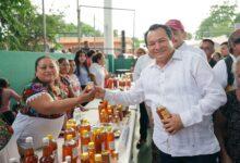 Photo of Renacimiento Maya impulsa nueva etapa en la producción apícola de Yucatán