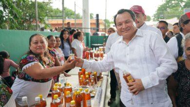 Photo of Renacimiento Maya impulsa nueva etapa en la producción apícola de Yucatán
