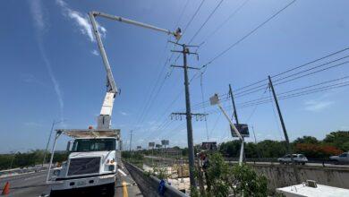 Photo of Exitoso operativo de conexión eléctrica en zona costera de Yucatán
