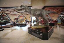 Photo of Museo del Meteorito celebra tercer aniversario con actividades para toda la familia